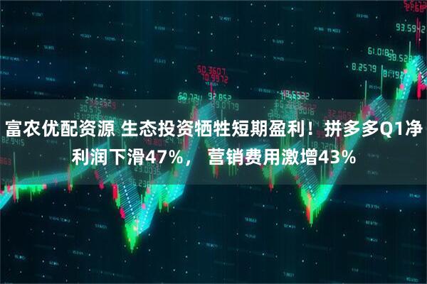 富农优配资源 生态投资牺牲短期盈利！拼多多Q1净利润下滑47%， 营销费用激增43%