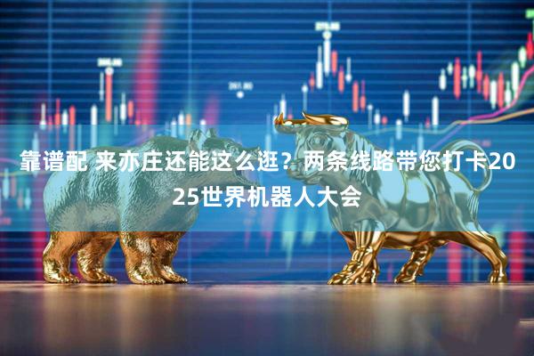 靠谱配 来亦庄还能这么逛？两条线路带您打卡2025世界机器人大会