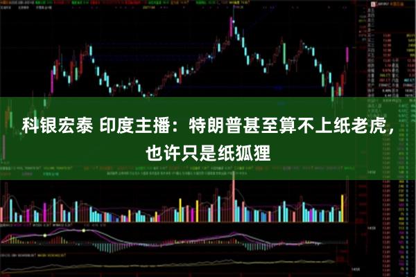 科银宏泰 印度主播：特朗普甚至算不上纸老虎，也许只是纸狐狸