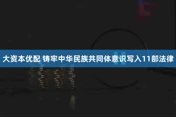 大资本优配 铸牢中华民族共同体意识写入11部法律