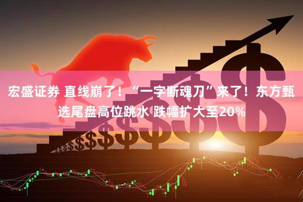 宏盛证券 直线崩了！“一字断魂刀”来了！东方甄选尾盘高位跳水 跌幅扩大至20%