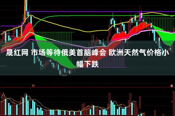晟红网 市场等待俄美首脑峰会 欧洲天然气价格小幅下跌