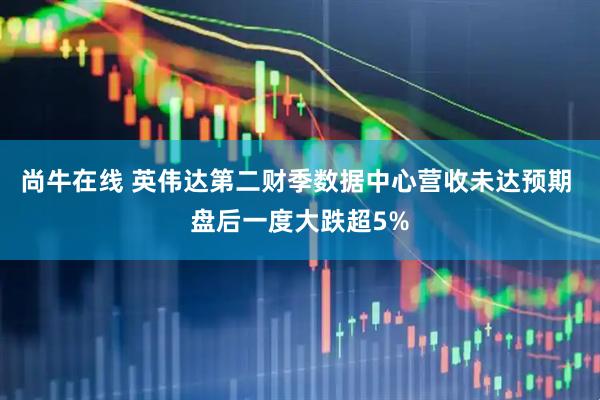 尚牛在线 英伟达第二财季数据中心营收未达预期 盘后一度大跌超5%