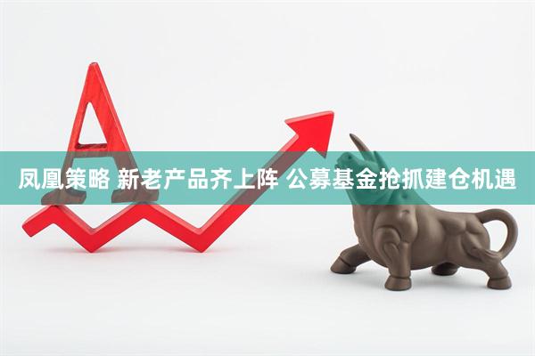 凤凰策略 新老产品齐上阵 公募基金抢抓建仓机遇