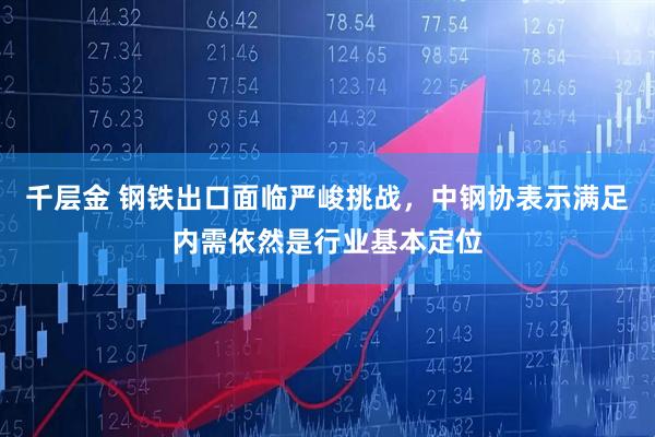 千层金 钢铁出口面临严峻挑战，中钢协表示满足内需依然是行业基本定位