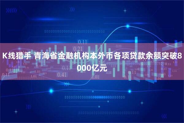 K线猎手 青海省金融机构本外币各项贷款余额突破8000亿元